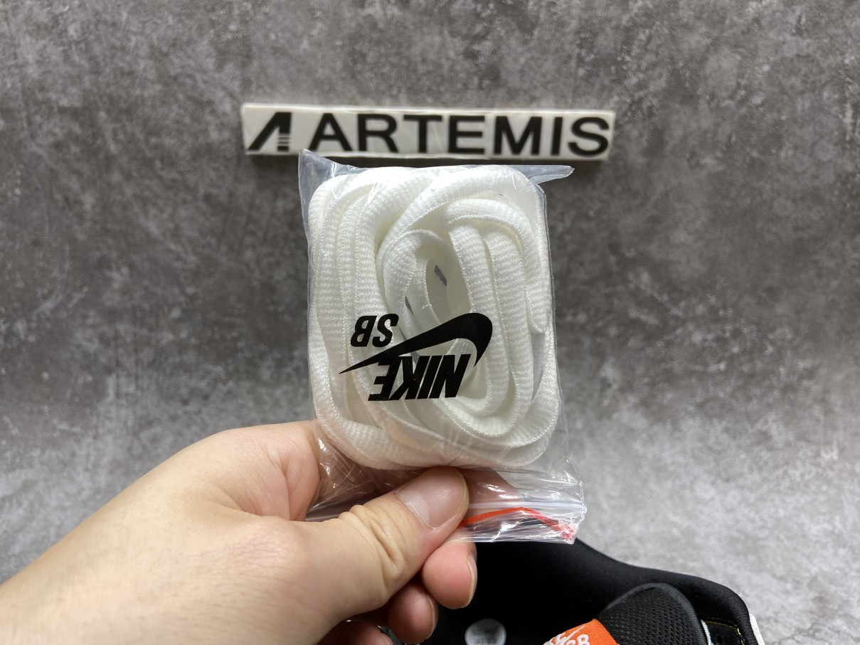 Nike Dunk SB Low Raygun